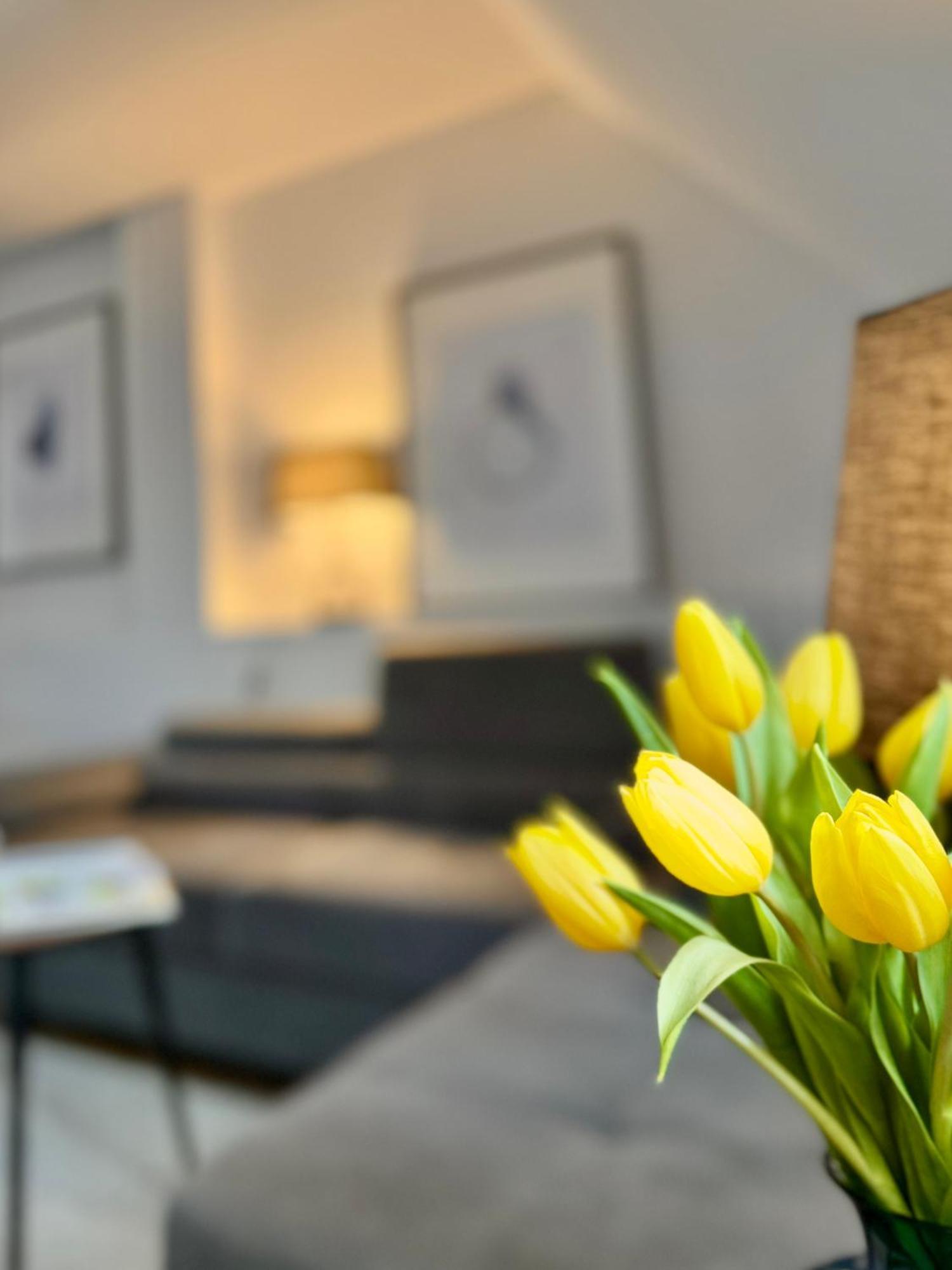 Apartament Pietrowy W Centrum Klodzka Z Darmowym Parkingiem Клодзко Экстерьер фото